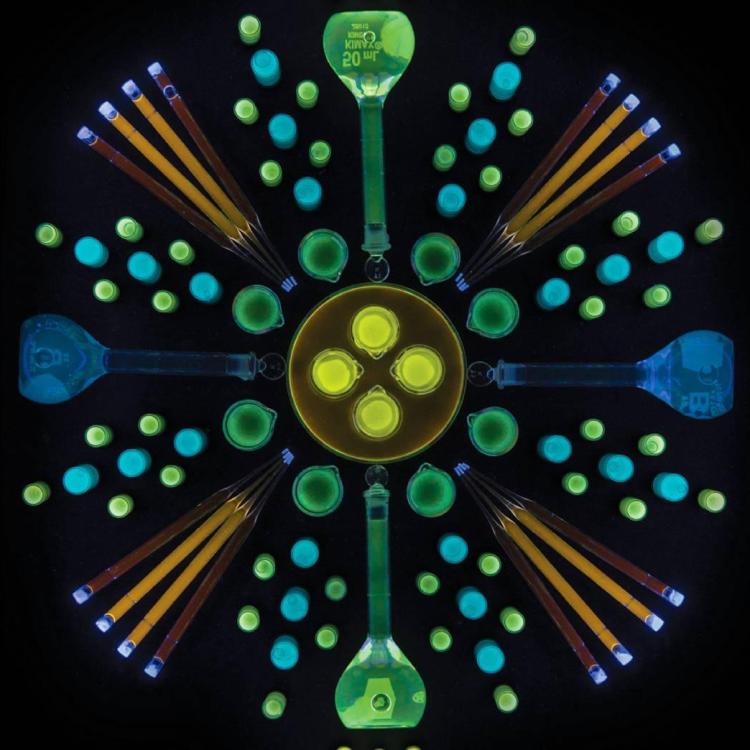 Abstract image of colors and shapes on a black background