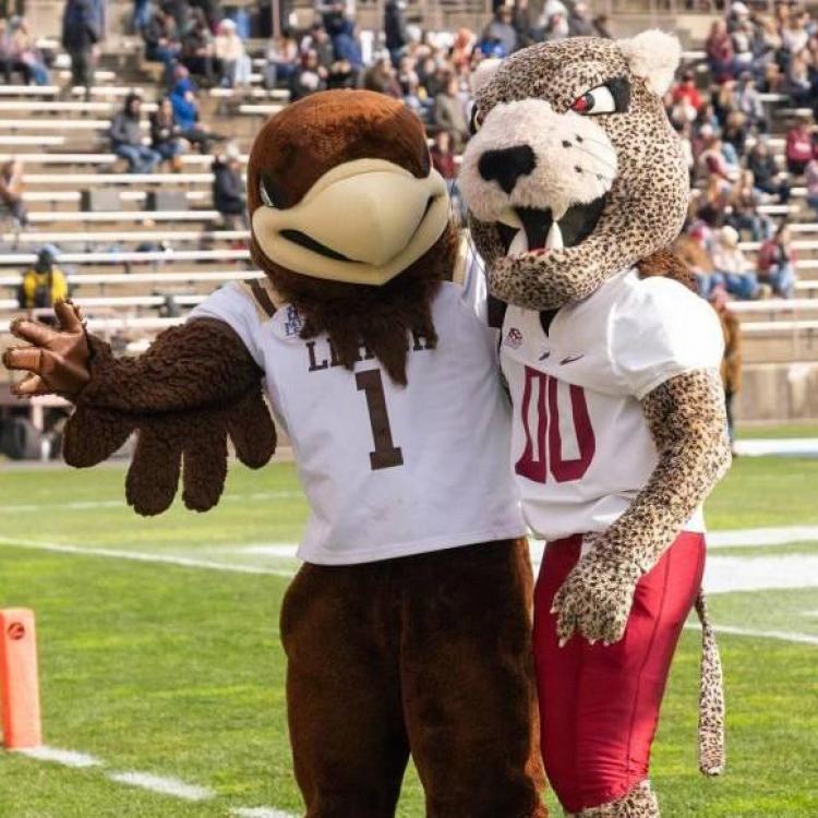 Two mascots posing on a football field