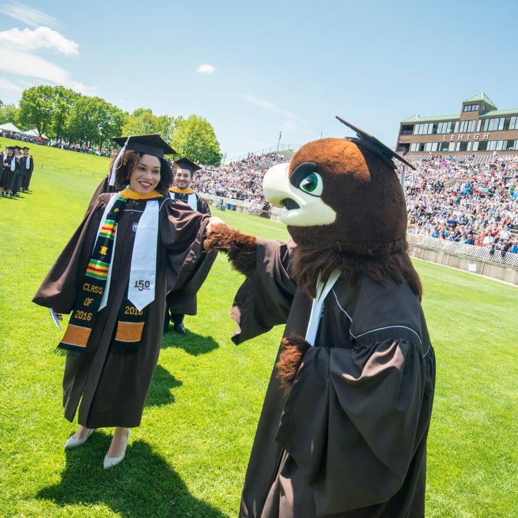 Graduate in cap and gown high-fiving bird mascot on sunny field at commencement.