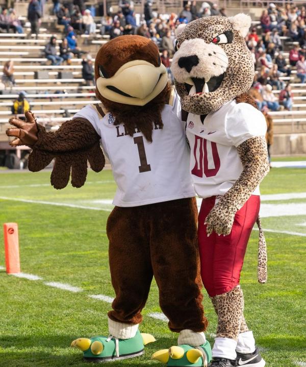Two mascots posing for a photo on a football field