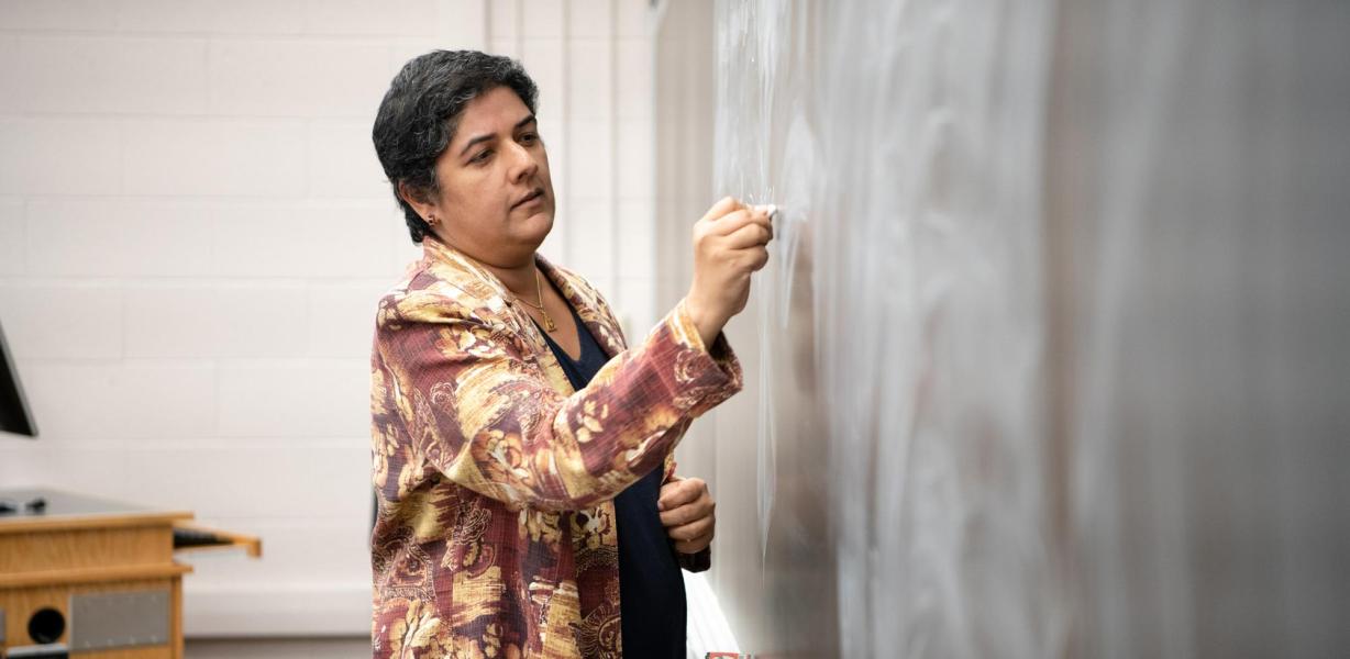 Professor writing on a board