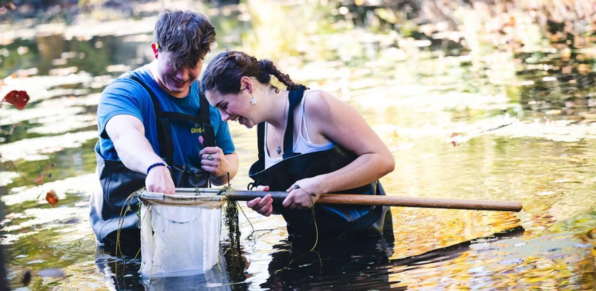 Two students in waders sample water with nets, looking intently.
