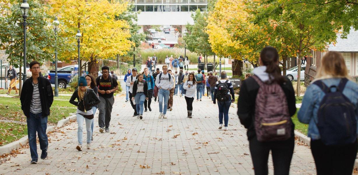 Students walking along a pathway
