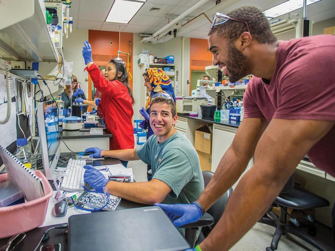 Three people are working in a lab. One person in a red coat stands and reaches toward a shelf, another in a green shirt sits and smiles at the third person in a maroon shirt, who is leaning over the desk. The lab has shelves and various scientific equipment.