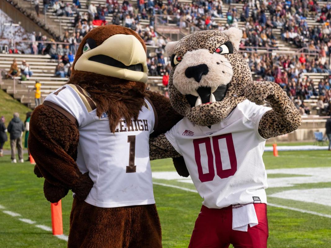 Two mascots posing on a football field
