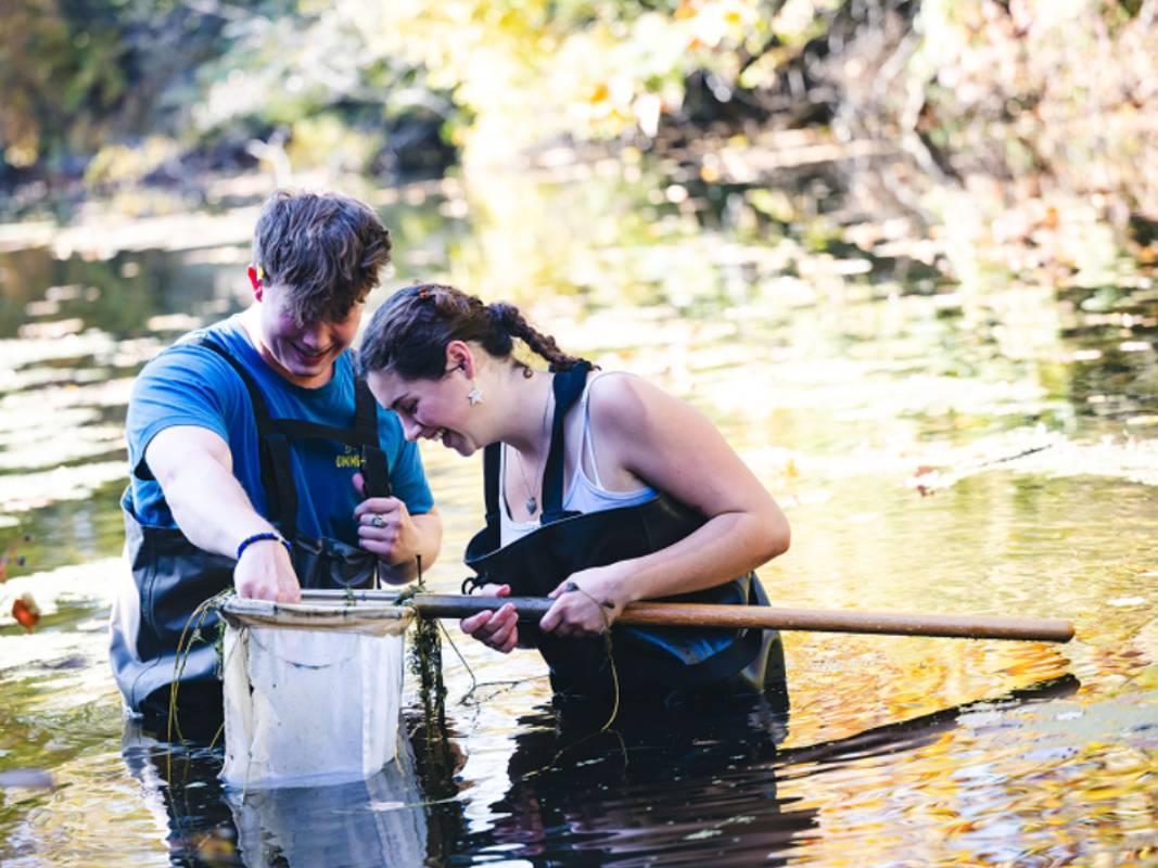 Two people in waders examine a net in a shallow autumn stream.