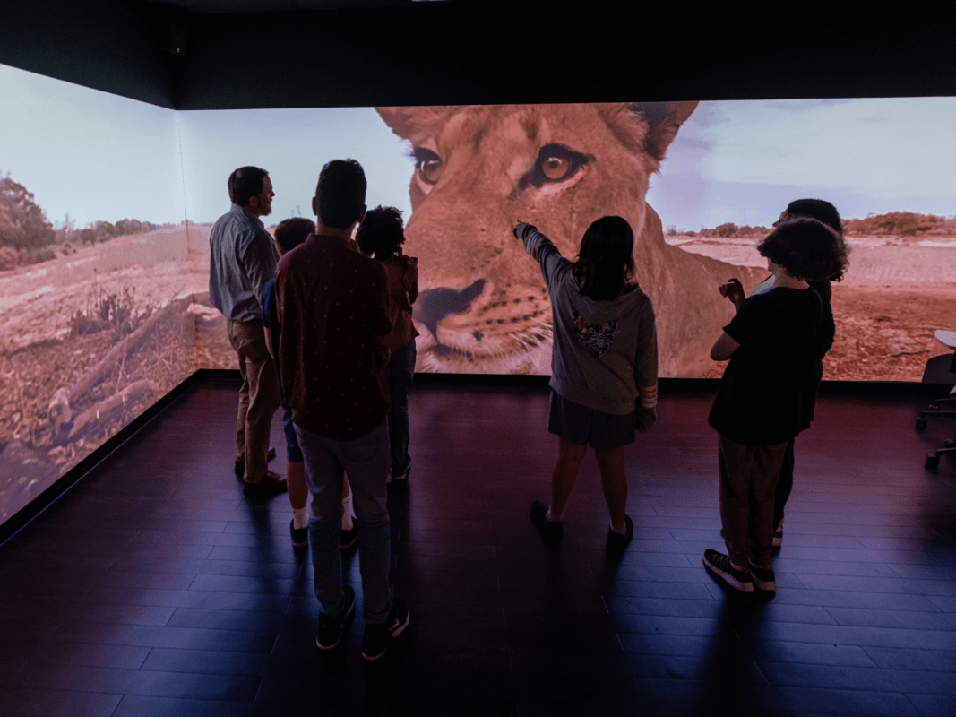Group of people observe large projection of a lion's face and savanna landscape.