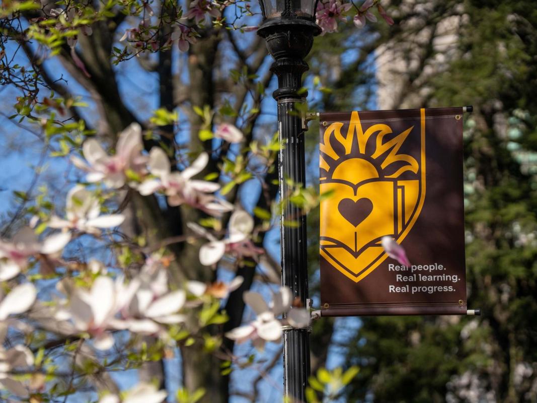 Lehigh banner among trees
