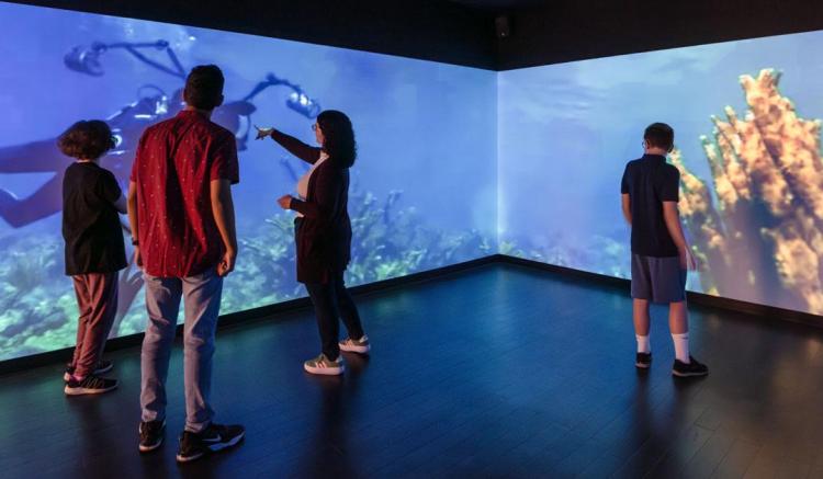 Students interact with wall screens in the Immersive Learning Center
