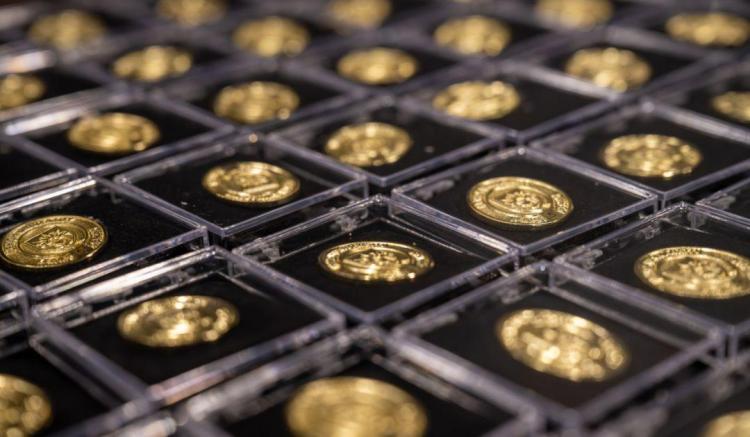Trays of shiny gold coins in protective cases arranged in a neat grid.