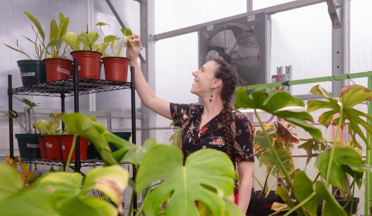 Smiling woman inspects a plant leaf in a greenhouse.