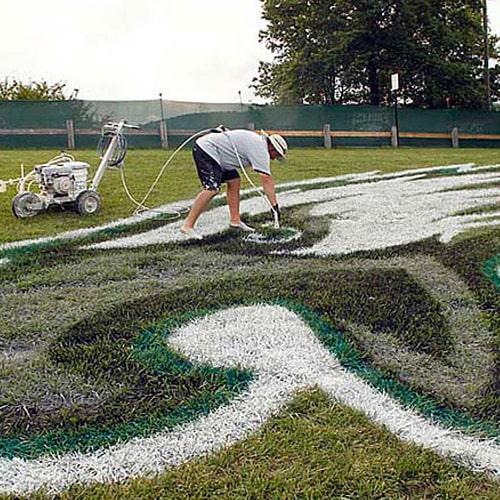 Eagles Training Camp