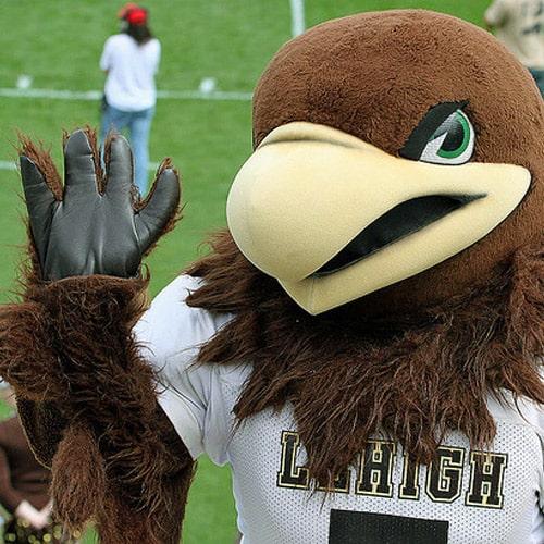 Mountain Hawk Mascot
